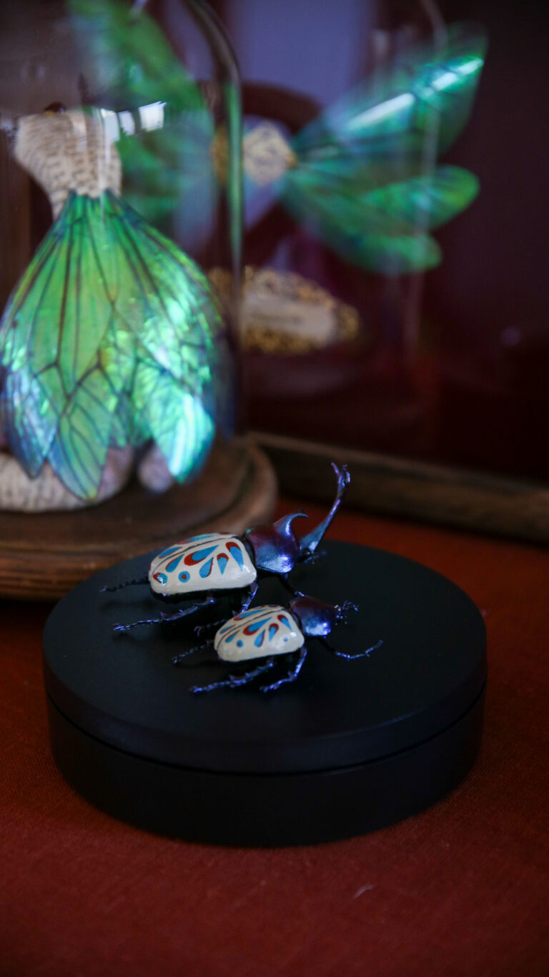 Rhia – Käfersammlung